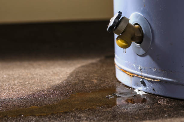 Best Professional water damage repair  in Girardville, PA